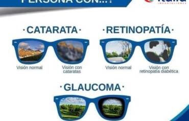 ¿Cómo ve una persona con cataratas, retinopatía o glaucoma?